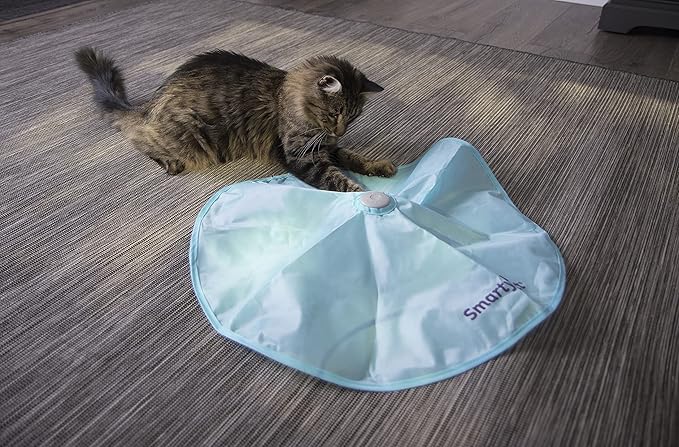 SmartyKat Hot Pursuit Electronic Concealed Motion Cat Toy, Battery Powered - Blue, One Size