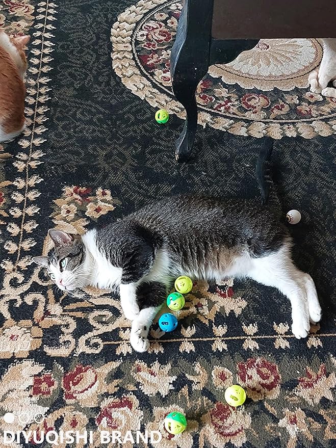 Cat Toys for Indoor Cats, 14 PCS Set with Wind-Up Chicken, Jingle Balls, and Catnip - Kitten Kitty Toy Pack for Playtime and Fun