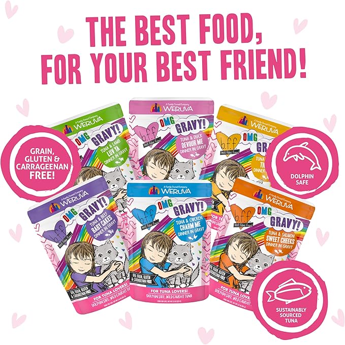 Weruva B.F.F. OMG - Best Feline Friend Oh My Gravy!, Rainbow A Gogo Variety Pack! Cat Food, 3oz Pouch (Pack of 12)