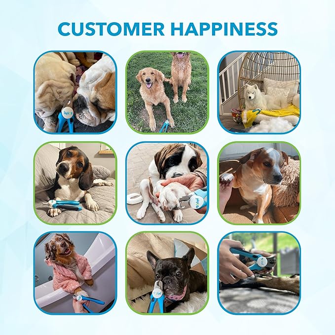 Boshel Small Dog Nail Clipper - Dog Nail Trimmer with Safety Guard, Dog Nail Clippers for Small Dogs & Cat, Razor-Sharp Dog Nail Trimmers, Puppy Toenail Cutter, Pet Nail Clippers for Dogs + Nail File