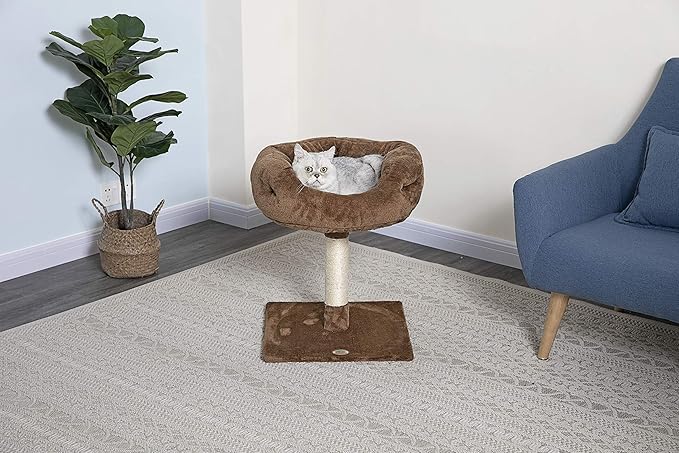 Go Pet Club 24" Simple and Space Saving Design Soft Plush Elevated Kitty Bed Kitten Condo for Indoor Cats, Brown