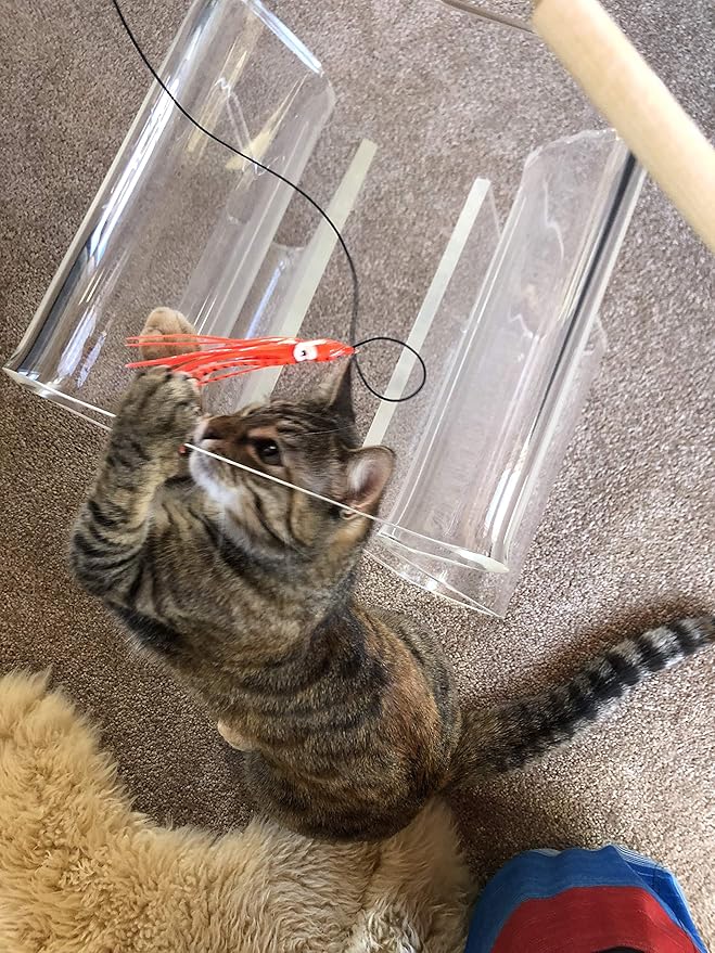 Dynamic Cat Toy | Orange with Black Stripes | Natural Birch Wood Rod Teaser and Exerciser for Cats and Kitten | Interactive Soft | Handcrafted in The USA