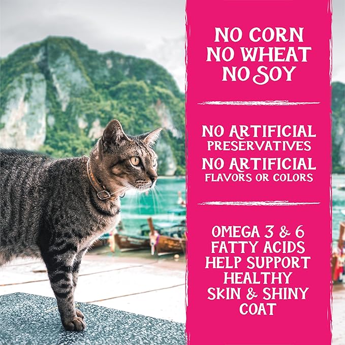 Triumph Free Spirit Deboned Salmon & Chickpea Recipe Dry Cat Food, 11lb.