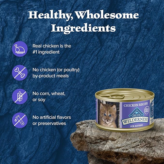 Blue Buffalo Wilderness High-Protein Grain-Free Wet Kitten Food, Chicken Paté Recipe, 3-oz. Cans (Pack of 24)
