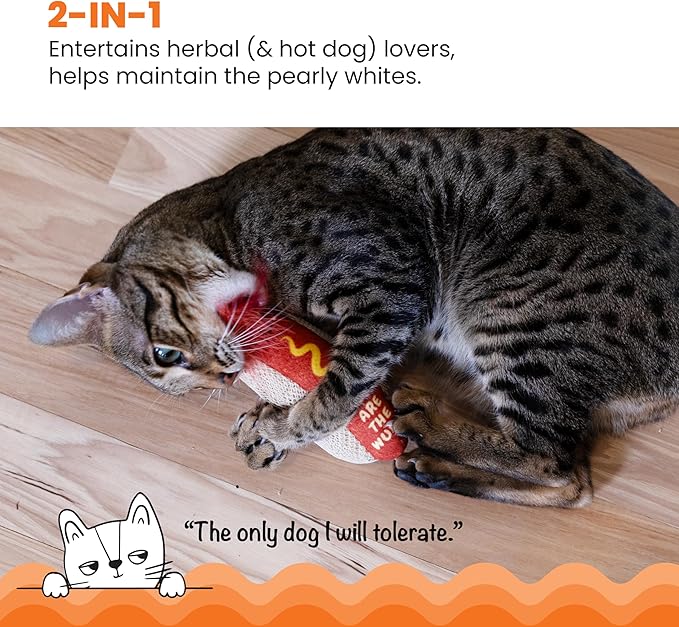 Catstages Hot Dog Kicker Catnip Toy and Dental Toy for Cats Hot Dog Themed Funny Catnip Stuffed Kicker Toy, Brown