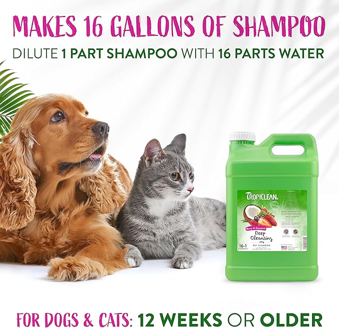 TropiClean Deodorizing Cat & Dog Shampoo for Smelly Pets | Puppy & Kitten Safe, Long-Lasting Odor Control, Berry Scent | Made in the USA | 2.5 Gallon