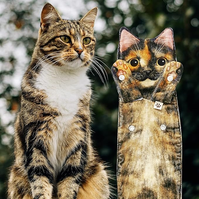 Funny Hand Towels for Bathroom Kitchen - Cute Decorative Cat Decor Hanging Washcloths Face Towels Super Absorbent Soft - Mothers Day Easter House Warming Birthday Gifts for Women Cat Lovers