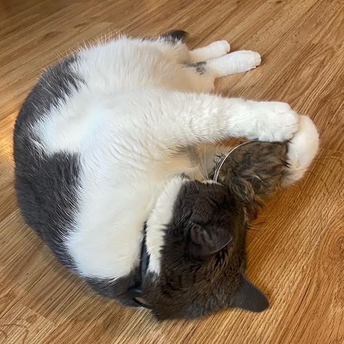 Ethical SPOT Shaggy Plush Giant Mouse - Cat Toy, Fuzzy Mice with Catnip and Rattle Toy for Indoor Cats and Kittens, Perfect Size for Pouncing on, Chasing, Hunting - 8.5in, 1 Piece