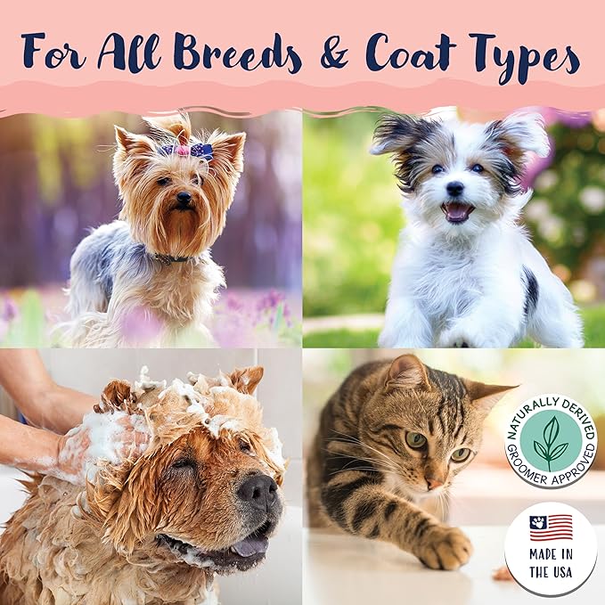 Bobbi Panter Gorgeous Dog Shampoo for Brightening & Whitening - Natural Ingredients, Tear-Free, Paraben-Free, pH-Balanced, 20:1 Concentrated Formula, Peach Scent, 1 Gal. (Case of 4)