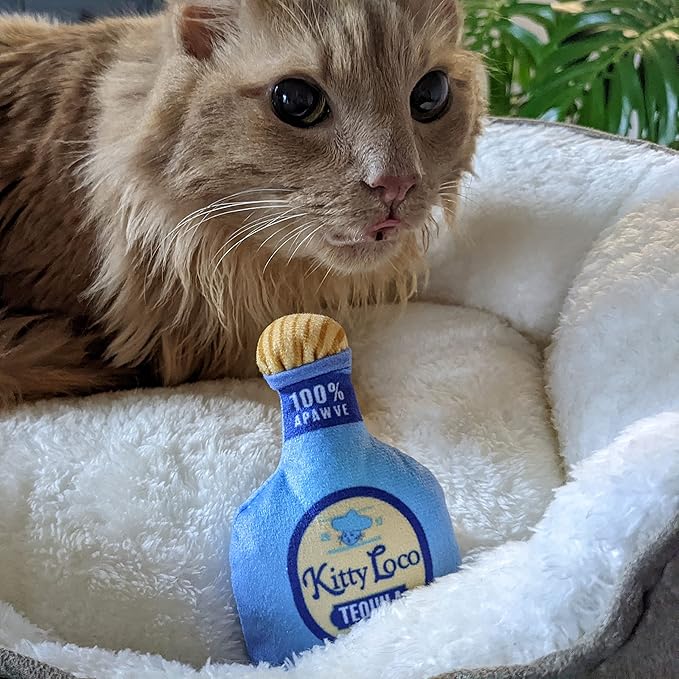 Huxley & Ket Plush Cat Toy | Kitty Loco Tequila | Nappy Hour Strong Catnip Filled Cat Toy | Plush Interactive Kitten and Cat Toy with Catnip and Crinkle | Kittybelles