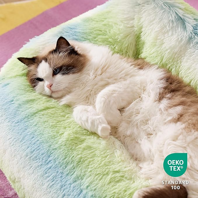 Lesure Cute Cat Couch Bed - Furry Indoor Cat Sofa Large, Washable Calming Small Dog Beds for Puppy with Fashion Design, 26x21x9inches, Green Stripe