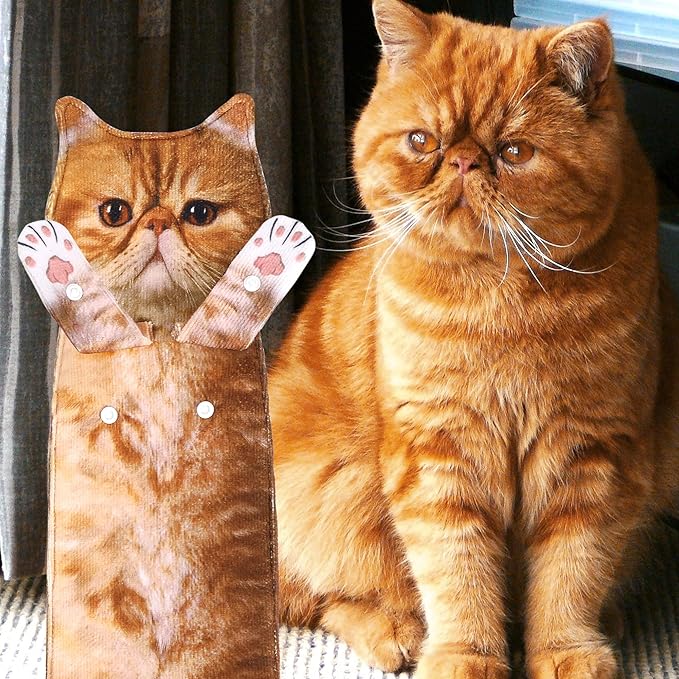 Funny Hand Towels for Bathroom Kitchen - Cute Decorative Cat Decor Hanging Washcloths Face Towels Super Absorbent Soft - Mothers Day Easter House Warming Birthday Gifts for Women Cat Lovers