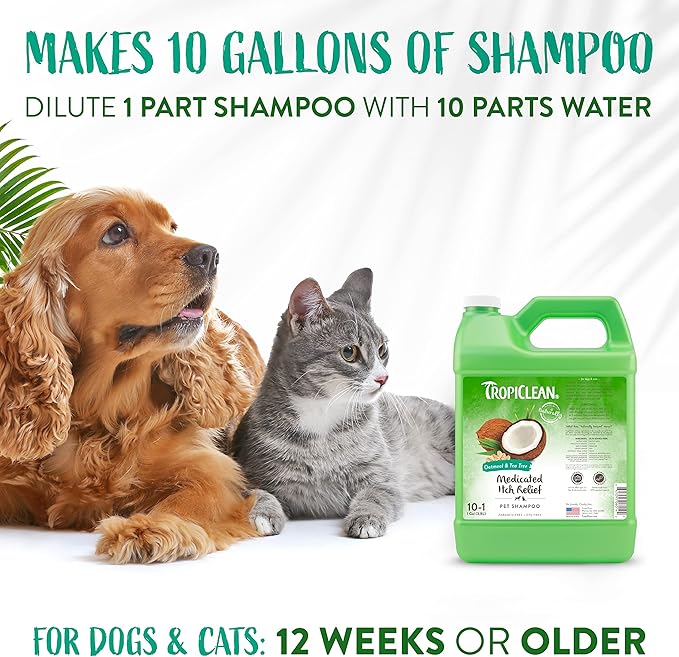 TropiClean Oatmeal Cat & Dog Shampoo for Itchy Skin Relief, Puppy & Kitten Safe, Medicated Tea Tree Oil for Itchy Skin Relief, Made in USA, 1 gallon