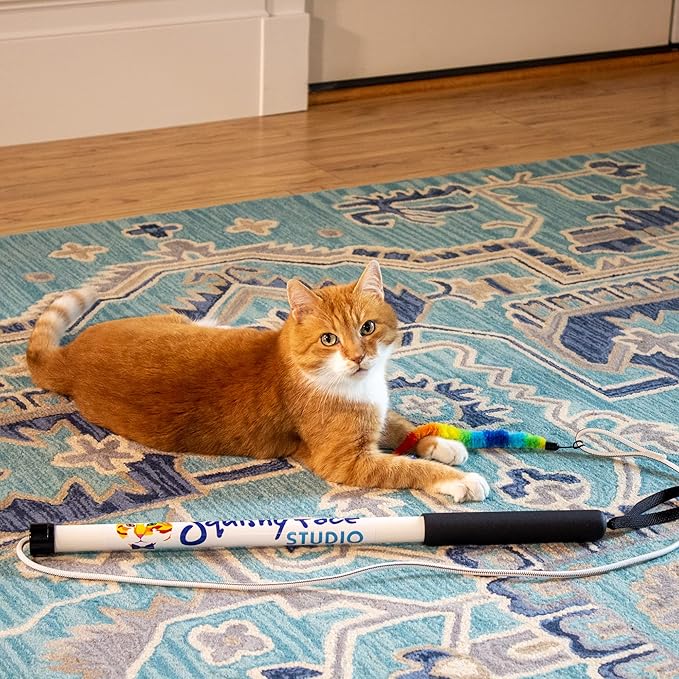 Tough Teaser Interactive Chase Exercise Wand Toy with 2 Lures for Indoor and Outdoor Cats and Kittens