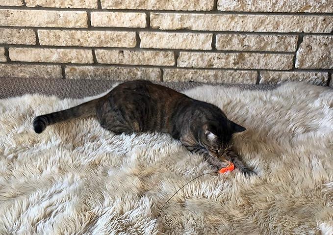 Dynamic Cat Toy | Interactive Play with Squid Orange/Yellow, Feather Teaser | Handcrafted in The USA