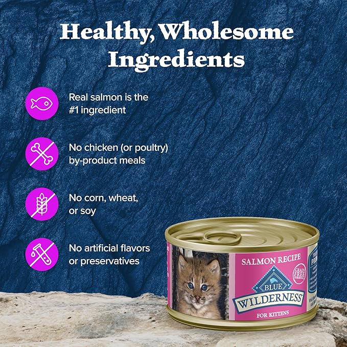 Blue Buffalo Wilderness Natural High Protein Grain Free Salmon Pate Wet Food for Kittens, 3 oz., Case of 24