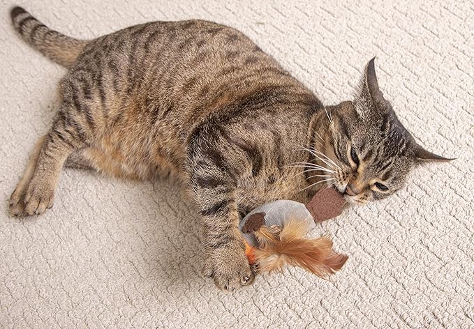 Petlinks Flutter Singer Electronic Sound Cat Toy, Battery Powered - Gray/Blue, One Size