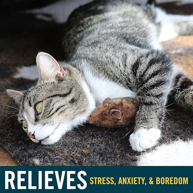 OurPet's Play-N-Squeak Mouse Hunter Cat Toy (Interactive Cat Toy & Catnip Toy with Real Mouse Electronic Sound) Perfect Toys for Indoor Cats with Catnip