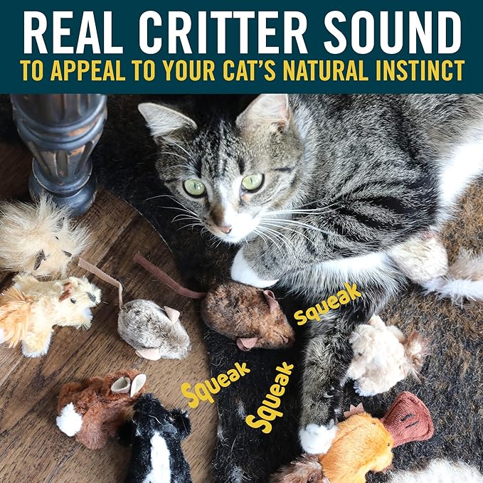 OurPet's Play-N-Squeak Mouse Hunter Cat Toy (Interactive Cat Toy & Catnip Toy with Real Mouse Electronic Sound) Perfect Toys for Indoor Cats with Catnip