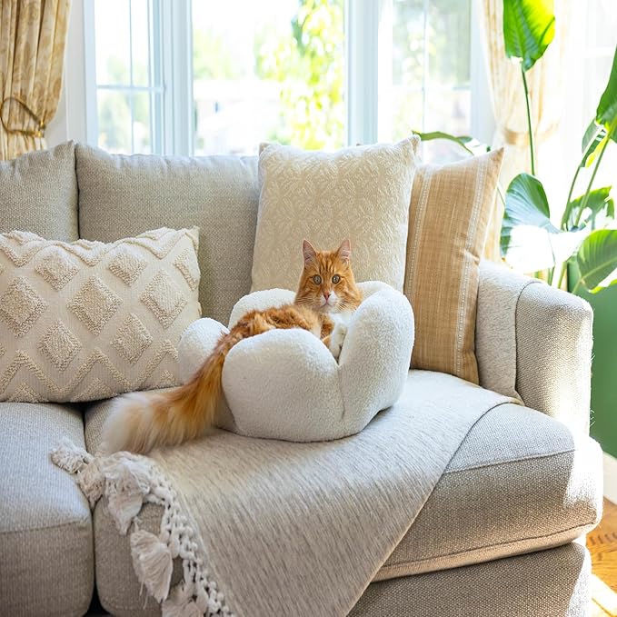 Catstages Purrfect Petals Washable Flower Shaped Round Cat Bed for Indoor Cats, Plush, White