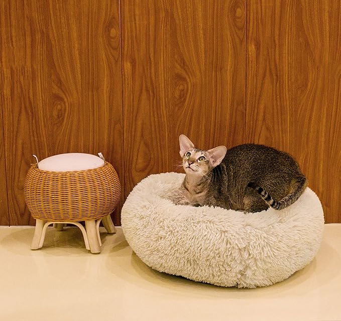 Calming Cat Beds for Indoor Cats, Anti Anxiety Round Fluffy Plush Faux Fur Cat Bed, Washable 23 inches Small Dog Bed & Cat Bed