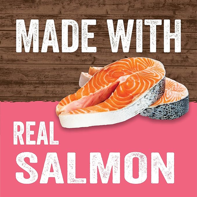 Evolve Classic Crafted Meals Salmon Recipe Cat Food (Pack of 15)