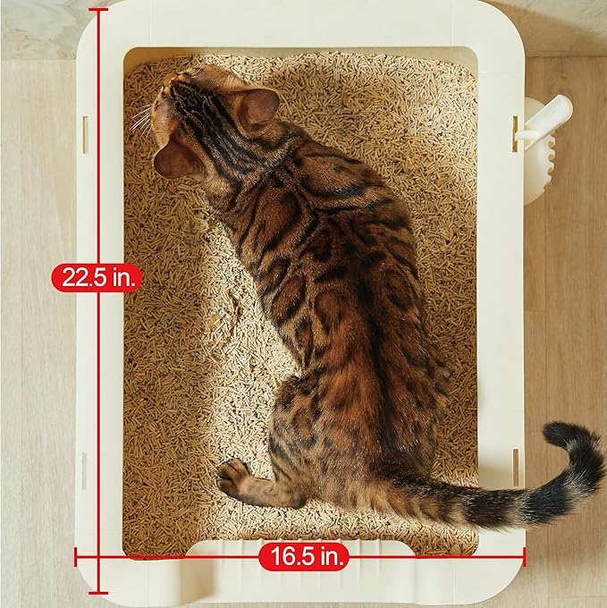 Camp Open Rimmed Large Cat Litter Box (Beige)