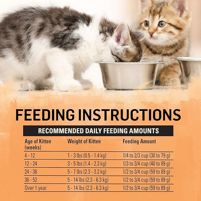 Beyond Purina High Protein, Natural Kitten Food, Kitten Chicken & Oatmeal Recipe - 3 lb. Bag