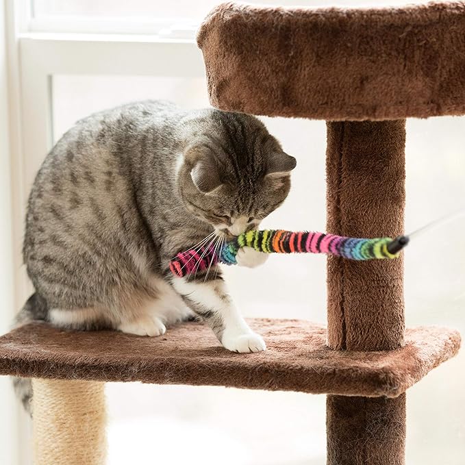 Youngever 12 Pieces Cat Toys Teasing Feather Toy, Retractable Wand with Assorted Teaser Refills, Interactive Feather Teaser Wand Toy Bell Kitten Cat Having Fun Exerciser Playing