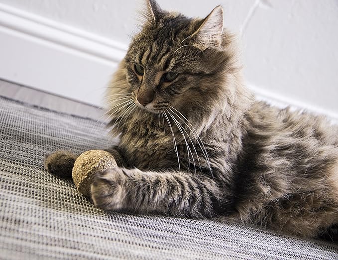 SmartyKat Catnip Kiss Compressed Catnip Ball Toy - Natural, One Size