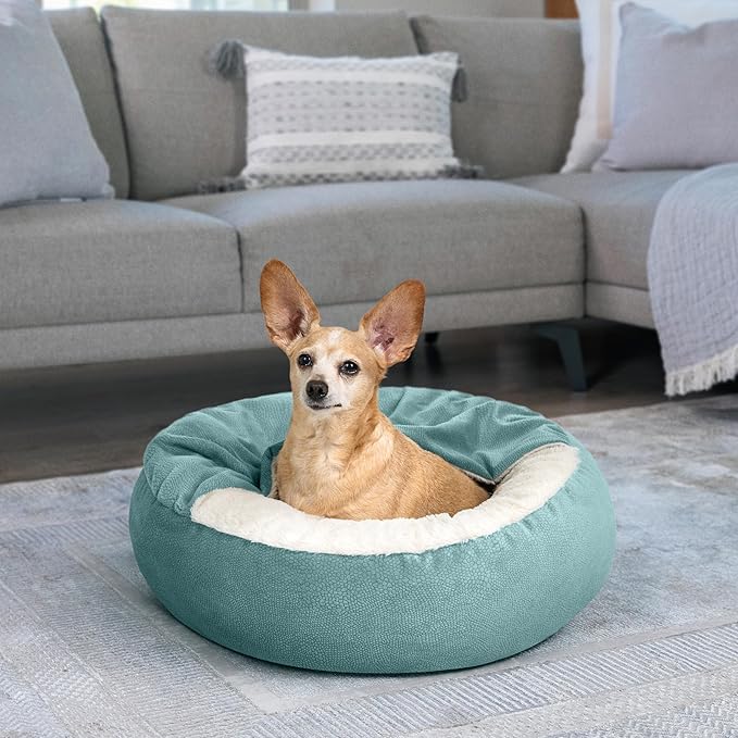 Best Friends by Sheri Cozy Cuddler Ilan Covered Cat and Dog Bed with Attached Blanket, Tide Pool Blue, 24"x24"