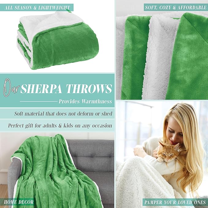 Elegant Comfort Reversible and Ultra-Plush Flannel Fleece Sherpa Throw- Lightweight Soft and Cozy- All Season Decorative Throw, Perfect for Lounging, 50 x 60 inches, Emerald Green