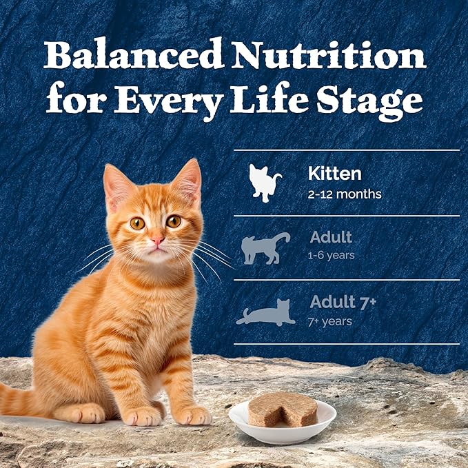 Blue Buffalo Wilderness Wild Delights Natural Wet Food for Kittens, Flaked Chicken & Trout in Tasty Gravy, 3-oz. Cans, 24-pack