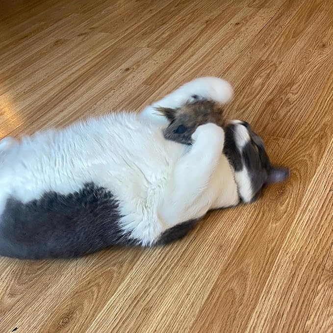 Ethical SPOT Shaggy Plush Giant Mouse - Cat Toy, Fuzzy Mice with Catnip and Rattle Toy for Indoor Cats and Kittens, Perfect Size for Pouncing on, Chasing, Hunting - 8.5in, 1 Piece