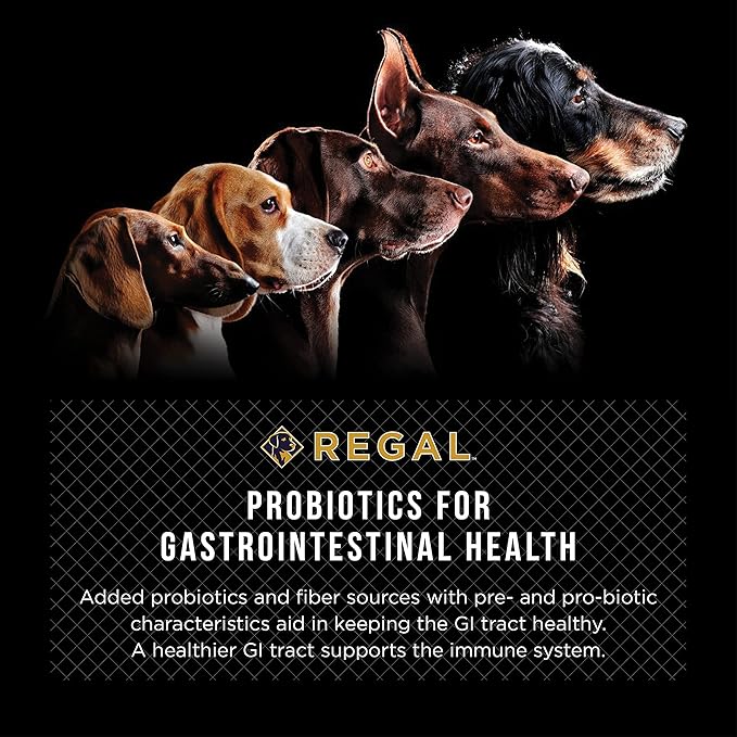 Regal Pet Foods Adult Farmhouse Recipe (Chicken and Duck) All Natural, Slow Cooked Whole Grain Dry Dog Food for All Breeds and Sizes of Adult Dog - Made in The USA, 13 LB Bag