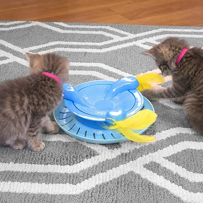 Kitty City Swat Track Cat Toy, 3 Toys in 1 Cat Toy, Deluxe and Basic Cat Toy Box, Ball Track