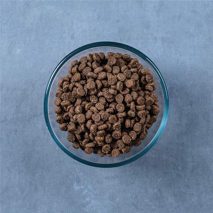 Evolve Grain Free Chicken, Pea and Sweet Potato Recipe for Kittens, 2.75lb