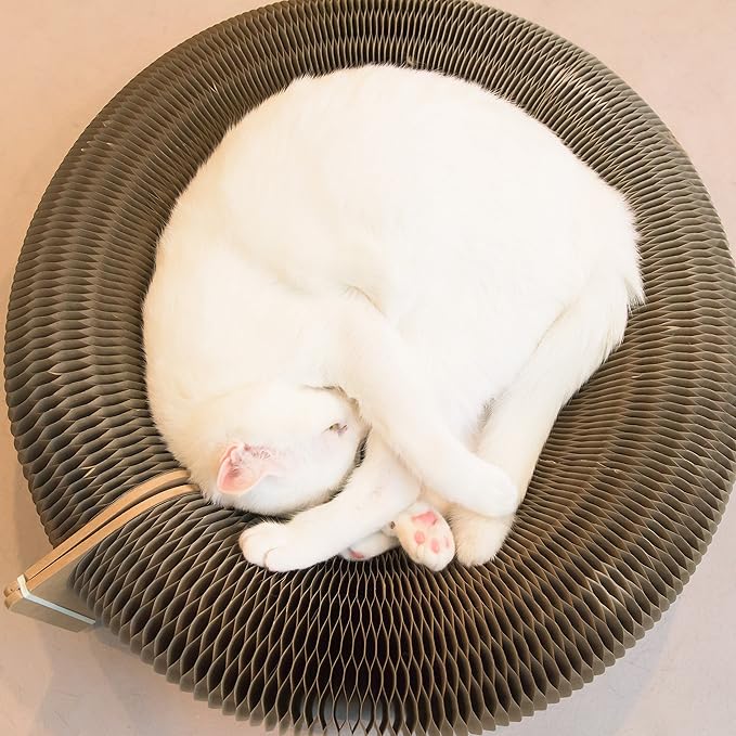 Elegant Home Fashions Cat Donut Bed Recycle Cardboard, Brown, 22.8"x 6.7" (DJ-CBD01001)