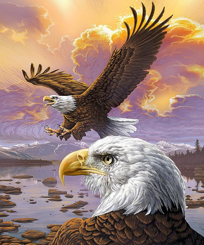 Dawhud Direct Fleece Throw Blanket - 75x90-Inch Flying Eagle Plush Blanket for Kids and Adults - Soft and Cozy for Bed, Couch, or Travel - Thoughtful Gifts Animal Lovers