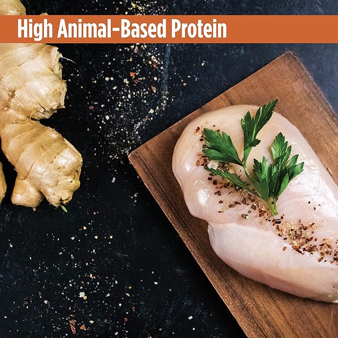 Nulo Freestyle Cat & Kitten Wet Cat Food Broth, Premium All Natural Grain-Free Cat Food Topper with No Added Minerals or Preservatives and High Animal-Based Protein 2.8 Oz (Pack of 24)