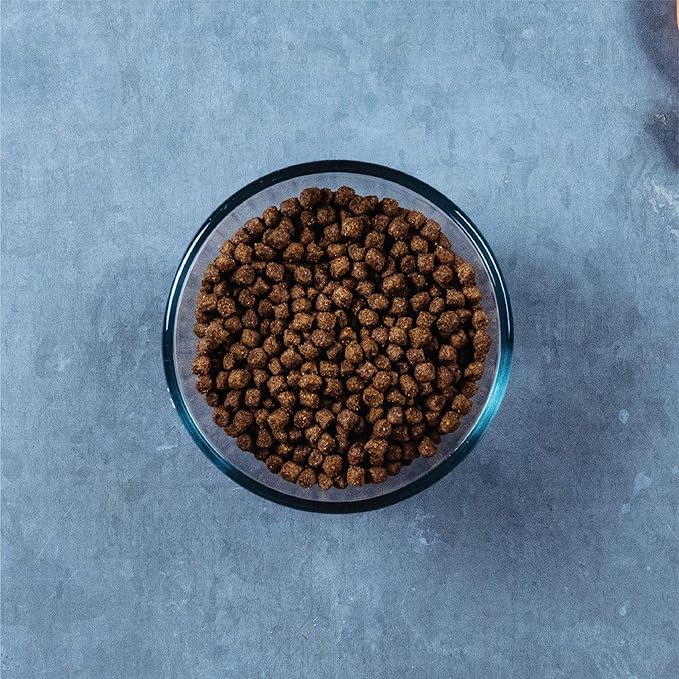 Evolve Classic Deboned Salmon, Brown Rice and Sweet Potato Recipe Cat Food, 14lb